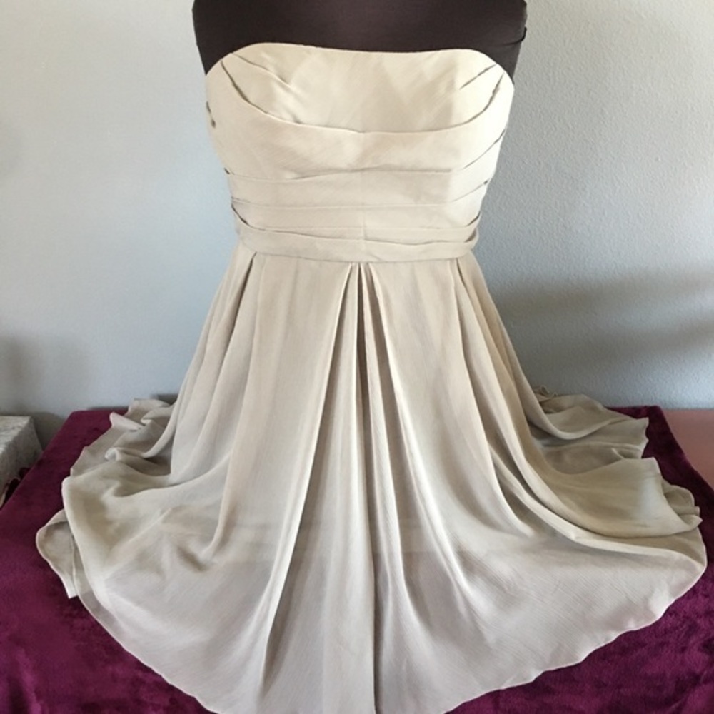 David’s Bridal Strapless Pleated Bodice Dress